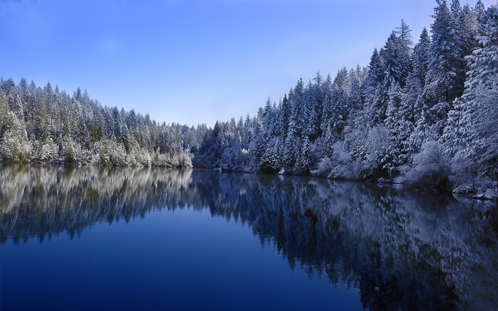 世界滑雪巡回赛选手防护装备升级，滑雪世界锦标赛
